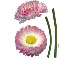Komar - Muursticker - Daisy - Kinderbehang - Zelfklevend - Muurdecoratie - Stickers - 50 x 70 cm