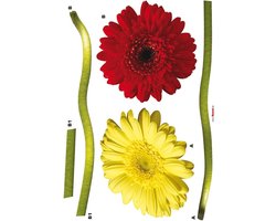 Komar - Muursticker - Gerbera - Zelfklevend - Muurdecoratie - Stickers - 50 x 70 cm