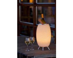 Kooduu Wijnkoeler Synergy 50S - LED Verlichting - Bluetooth Speaker - Batterij en oplaadkabel - Aluminium