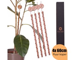 Kopero Elektrocultuur - Electrocultuur - 4x Koperen Antennes - 60 cm - Puur Koper - Koperen Spoel Antenne - Set van 4 Koperen Stokken met Spiraal voor Snelle Plantengroei in Moestuin, Plantenpotten & Tuin