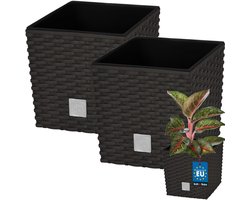 KOTARBAU® Vierkante Bloempot met Inzetpot - Vierkante Plantenbak 20x20 cm 2 Stuks - Plantenpot 6,8 L - Plantenbak - Kunststof - Rotanlook - Umbra