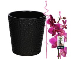 Kotarbau - Zwart Keramische Pot - 11 cm - Roze Ondersteuning - 58 cm