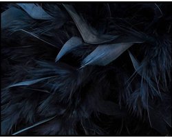 Kristal Helder Galerie kwaliteit Plexiglas 5mm.- Blind Aluminium Ophang-frame- Fotokunst 'Dark Feathers' - luxe wanddecoratie- Akoestisch en UV Werend- inclusief verzending