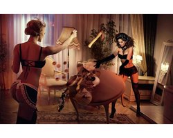 Kristal Helder Galerie kwaliteit Plexiglas 5mm.- Blind Aluminium Ophang-frame- Fotokunst- luxe wanddecoratie- Akoestisch en UV Werend- inclusief verzending