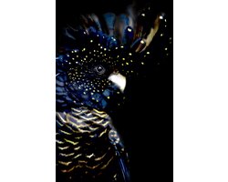 Kristal Helder Galerie kwaliteit Plexiglas 5mm.- Blind Aluminium Ophang-frame- Fotokunst- luxe wanddecoratie- Akoestisch en UV Werend- inclusief verzending