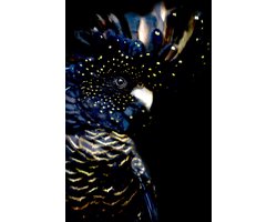 Kristal Helder Galerie kwaliteit Plexiglas 5mm.- Blind Aluminium Ophang-frame- Fotokunst- luxe wanddecoratie- Akoestisch en UV Werend- inclusief verzending