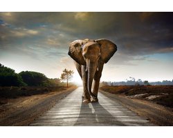 Kristal Helder Galerie kwaliteit Plexiglas 5mm.- Blind Aluminium Ophang-frame- Fotokunst- luxe wanddecoratie- Akoestisch en UV Werend- inclusief verzending