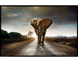 Kristal Helder Galerie kwaliteit Plexiglas 5mm.- Blind Aluminium Ophang-frame- Fotokunst- luxe wanddecoratie- Akoestisch en UV Werend- inclusief verzending