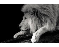 Kristal Helder Galerie kwaliteit Plexiglas 5mm. - Blind Aluminium Ophangframe - Luxe wanddecoratie - Fotokunst - professioneel verpakt en gratis bezorgd