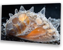 Kristallen schelp met detail - Schelp wanddecoratie - Kunstwerk kristallen - Hyperrealisme - Moderne schilderijen - Canvas schilderij woonkamer - canvas 150x100 cm