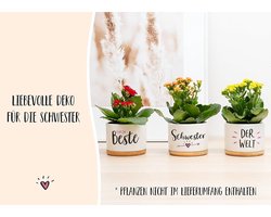 Kruidentuin Bloempot voor Zus - speciaal cadeau - Porselein