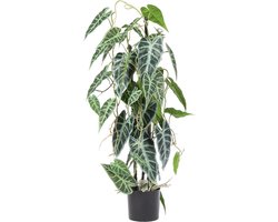 Kunst Alocasia Kamerplant – 80 cm – Real Touch Bladeren – In Pot – Levensechte Kunst Kamerplant