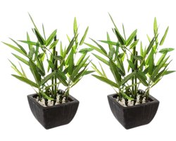 Kunst Bamboe Plant - Decoratieve Kamerplant - Set van 2 - Onderhoudsvrije Interieur Plant - Moderne Woondecoratie - Polyester - 26 cm hoog - met Zwarte Pot