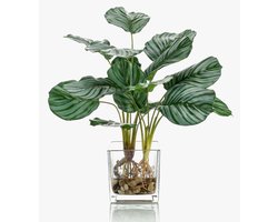 Kunst Calathea Orbifolia - Planten Decoratie - Woonkamer Aankleden - Echte Glaspot - 45 cm - Groen-Wit