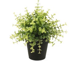 Kunst Eucalyptus plant 20 cm in zwarte pot