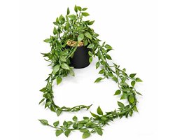 Kunst Hangplant met Zwarte Pot en Kleine Steentjes – 80 cm – 1 Stuk – Realistische Nep Hangplant voor Binnen