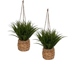 Kunst Hangplant - Set van 2 - Hangende Plant met Natuurlijke Pot - Onderhoudsvrije Kamerplant - Boho Woondecoratie - PE - 25 x 25 x 27 cm - Multicolor