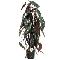 Kunst Kamerplant Begonia | 80cm - Kunstplant voor binnen - levensechte kunstplant - Begonia kunstplant met stippen
