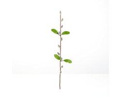 Kunst Katjes Tak 58 cm – Wilgentak Decoratie – Realistisch & Herbruikbaar – Lente- en Paasdecoratie voor Vaas & Tafelstukken [57935C]