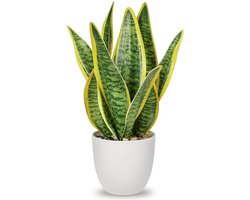 Kunst Sansevieria Slangenplant - Realistisch - Kleine Kamerplant - In Keramieken Pot - voor Badkamer Slaapkamer Kantoor Decoratie - Hoogte 33 cm