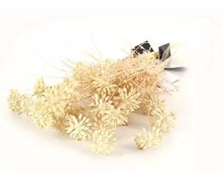 Kunst Tak Dille Creme