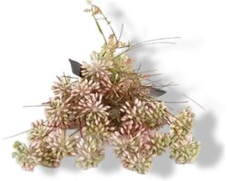 Kunst Tak Dille Wit/Roze