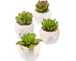 Kunst Vetplantjes 4 stuks in marmer potje 10 cm