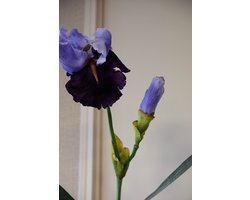 Kunstbloem iris blauw / paars 71 cm | interieur | wonen | Exclusief Ingericht