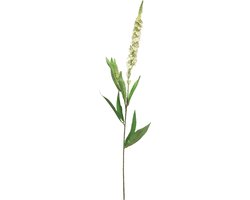 Kunstbloemen En Overige - Veronica Spray White 76cm