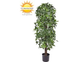 Kunstboom Schefflera kolom 120cm UV