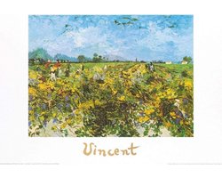 Kunstdruk Vincent Van Gogh - The Green Vineyard 70x50cm
