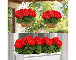 Kunstgeraniums 6 stuks - Realistisch - UV-bestendig - Perfect voor balkon en tuin - SnelShoppen
