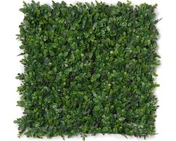 Kunsthaag plantenwand - Planten muur - Voor binnen en buiten - Buxus - 50 x 50 cm