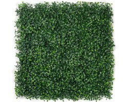 Kunsthaag plantenwand - Planten muur - Voor binnen en buiten - Buxus Romeinse stijl - 50 x 50 cm