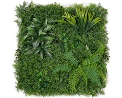 Kunsthaag plantenwand - Planten muur - Voor binnen en buiten - Mos, Siergras en Varens - 50 x 50 cm