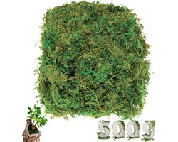 Kunstmatig Groen Mos - Onderhoudsvriendelijk - 1 stuk - Lichtgewicht - Duurzaam