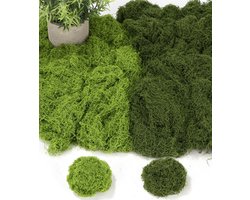 Kunstmatig Mos 200g - Decoratief Mos voor Planten, Kunstgras en Knutselen - Veilig Nylon Materiaal - 100g Donkergroen + 100g Lichtgroen - Geschikt voor Kerstversiering, Bruiloften en Pasen - Binnen en Buiten Gebruik