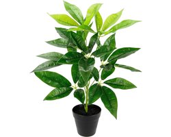 Kunstmatige bladplant in pot, zijdebloemen, echte touch, kunstplanten, kamerplanten, decoratieve plant, groene plant, zijdeplant, kunstbloem, stralingsaralie, kantoorplant, decoratieve