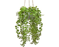 Kunstmatige Hangplant met Parels 35 cm - Nep Succulent in Witte Pot voor Wanddecoratie, Badkamer en Kantoor Boho Stijl Decoratie
