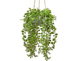 Kunstmatige Hangplant met Parels in Witte Pot - 35 cm Faux Succulent voor Wanddecoratie, Badkamer en Kantoor Boho Stijl Decoratie