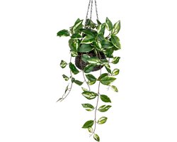 Kunstmatige hangplanten met potten - Faux gouden Pothos N' Joy voor wanddecoratie, slaapkamer en badkamer, ideaal voor binnen en buiten gebruik