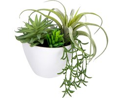 Kunstmatige hangplanten - nep-potted string of pearls - assorti succulenten - faux hangplanten voor muur - thuis - tuin - tafel - plank - vensterbanken - kantoor decoratie