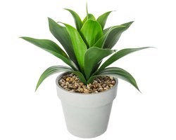 Kunstmatige planten aloë vera decoratieve 35cm - Kunststof|Pierre|Papier - Wit - SILUMEN