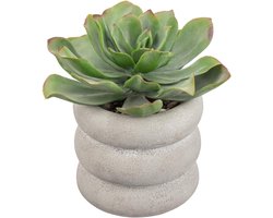 Kunstmatige Succulenten in Keramieken Pot 20cm - Nepplant Agave voor Binnen, Decoratie voor Thuis, Kantoor en Badkamer, Perfect als Cadeau