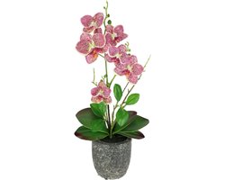 Kunstmatige Vlinderorchidee Met Bladeren En Luchtwortels In Keramische Pot – Phalaenopsis Nepplant – Realistische Zijde Bloem Voor Binnen – Bruiloft En Decoratie