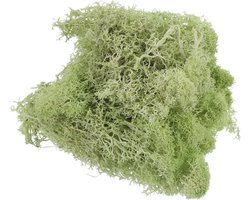 Kunstmos voor knutselwerk en wanddecoratie, geconserveerd natuurlijk mos voor bloemprojecten en bruiloft, groen decoratiemateriaal voor tuin en terraria.