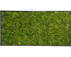 Kunstmos wanddecoratie – Mosschilderij Emerald Green – 50x100 cm – Aluminium frame antracietlook – Binnen & buiten – Onderhoudsvrij