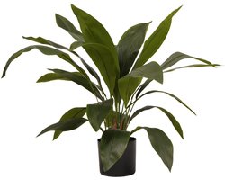 Kunstplant Aspidistra - Textiel / Metaal - Groen - 70x70x70 cm (BxHxD)