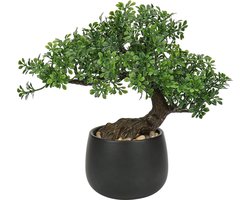 Kunstplant Bonsai Boom 25 cm in Keramische Pot - Onderhoudsvriendelijke Decoratie voor Woonkamer, Slaapkamer en Badkamer