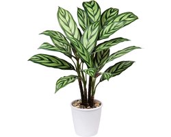 Kunstplant Calathea Majestica Exotica 63 cm kunstplant groot in pot decoratie voor binnen en buiten moderne decoratie badkamer woonkamer slaapkamer balkon
